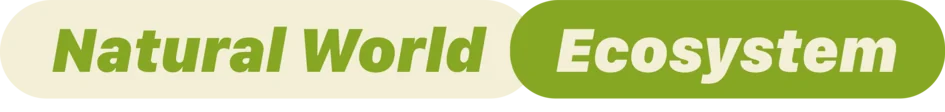 Ecosystem